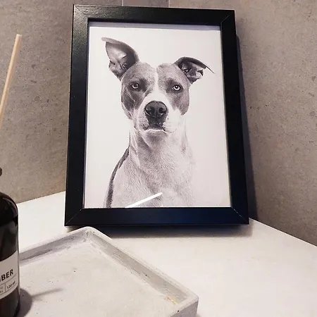 Διαμέρισμα Habitat Bnb-the Dreamers