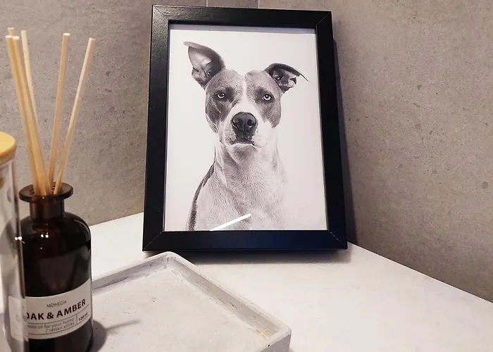 Апартаменты Habitat Bnb-the Dreamers